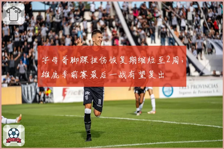 字母哥脚踝扭伤恢复期缩短至2周,雄鹿季前赛最后一战有望复出