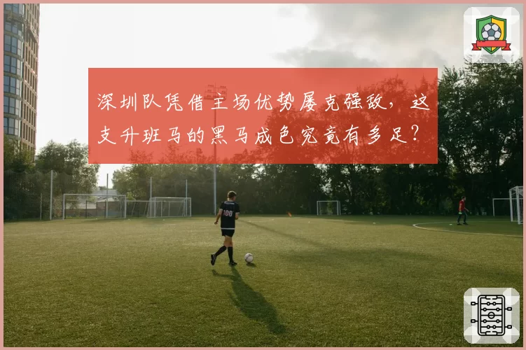 深圳队凭借主场优势屡克强敌,这支升班马的黑马成色究竟有多足?