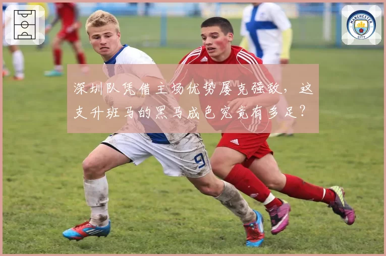 深圳队凭借主场优势屡克强敌,这支升班马的黑马成色究竟有多足?