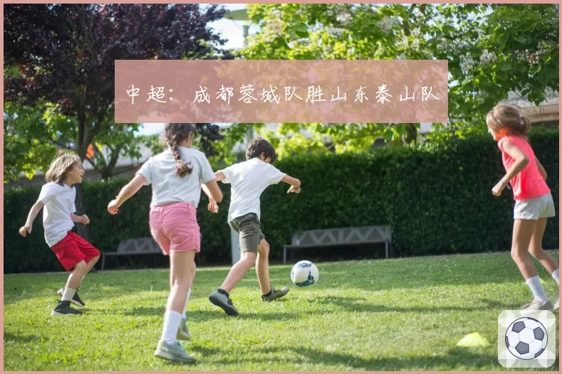 中超：成都蓉城队胜山东泰山队
